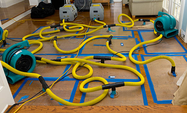 Professional Structural Drying And Dehumidification technician working in Uniontown, OH